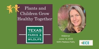 Website Graphic Melissa Felty .jpg