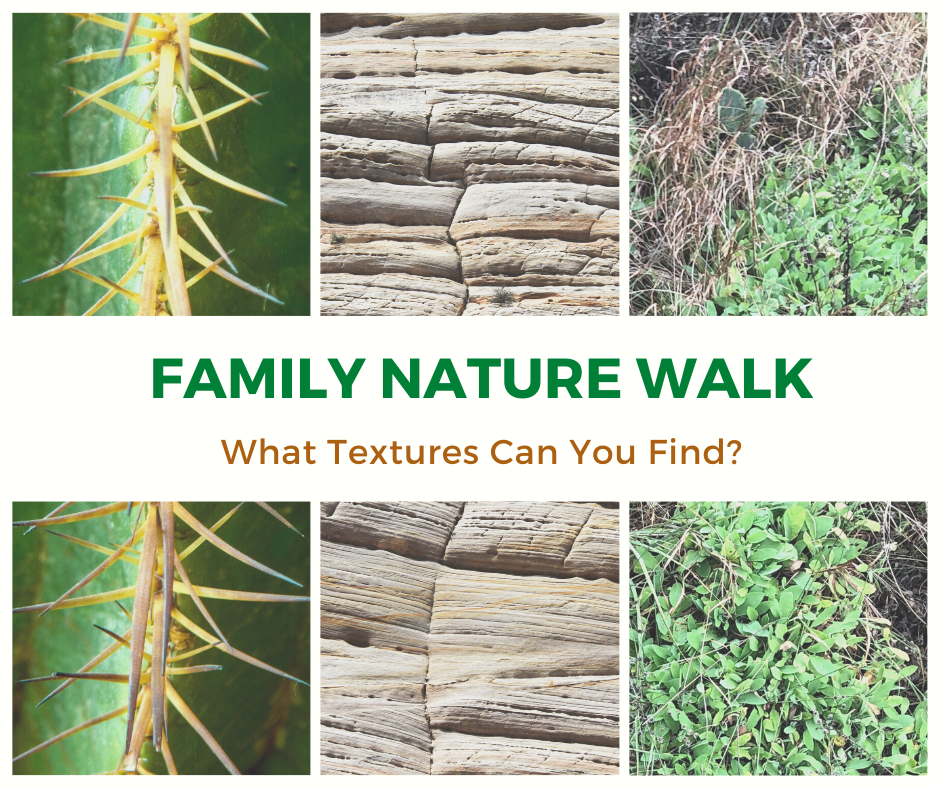 Family Nature Walk_ Texture.png