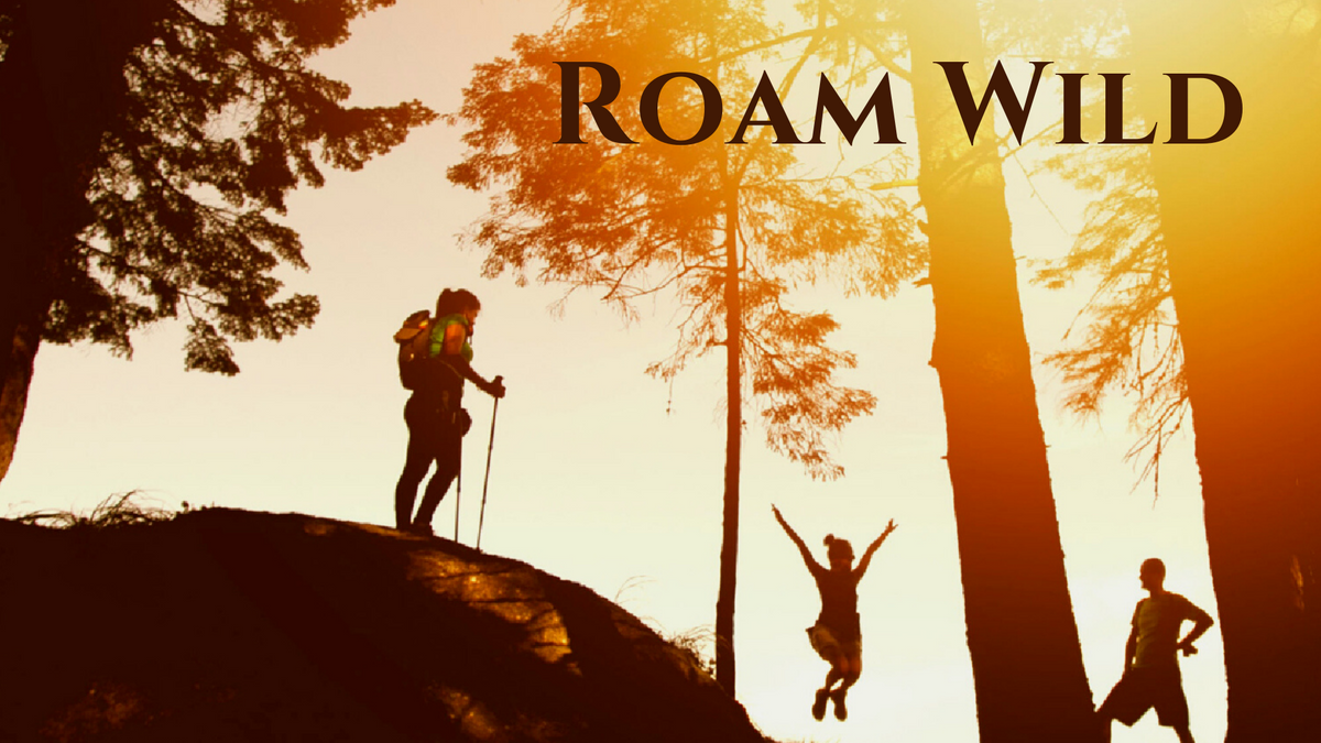 Copy of Partner Spotlight - Roam Wild.png