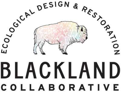 blc-logo-secondary-buffalo-arch-above.png