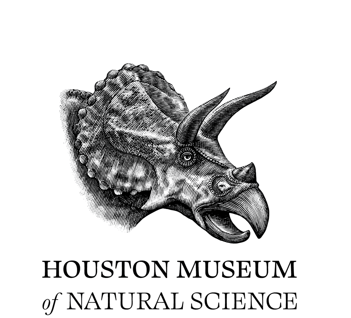 Houston Museum of Natural Science Houston Museum of Natural Science