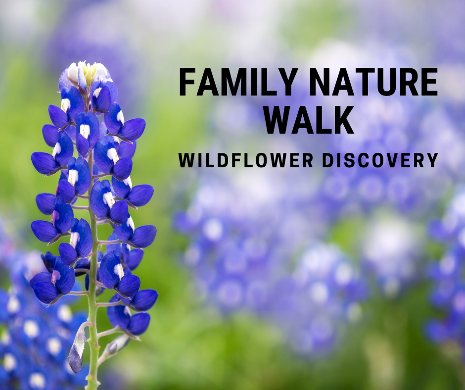 Family Nature Walk_ Wildflowers.png