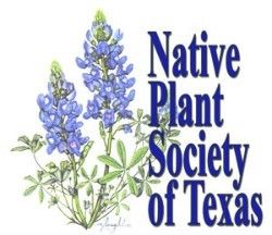 Native Plant Society of Texas Logo