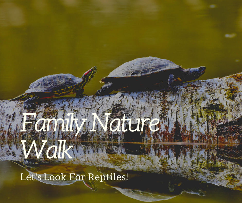 Family Nature Walk_ Reptiles.png