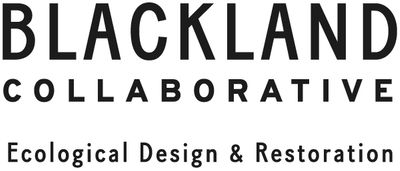 Blackland Collaborative