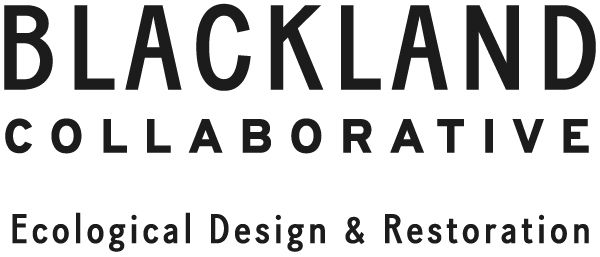 Blackland Collaborative Blackland Collaborative
