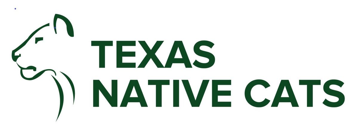 Texas Native Cats