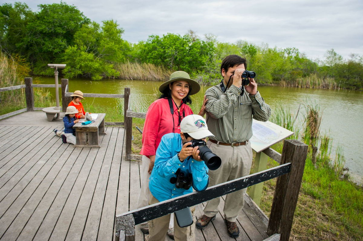 Estero Llano Grande_6675.jpg