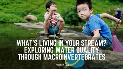 What%E2%80%99s Living in Your Stream Thumb.png