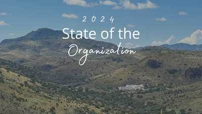 2024 State of The Org.png