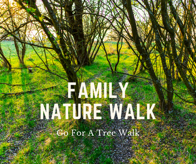 Family Nature Walk_ Trees.png