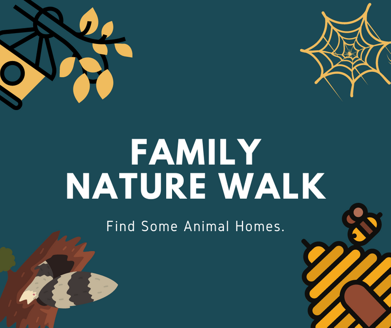 Look for Animal Homes - Texas Children in Nature