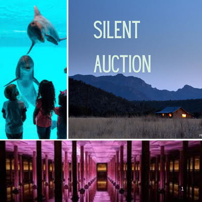 2024 Silent Auction Open (1080 x 1350 px) (1).png