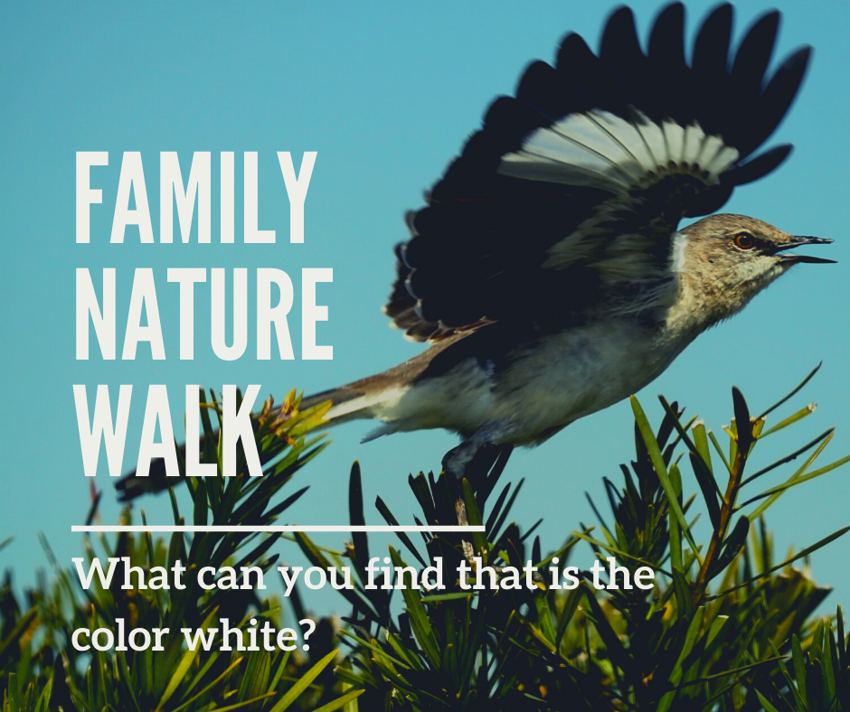 Family Nature Walk_ White.png