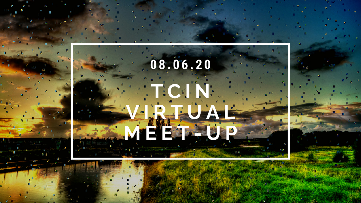 TCiN Virtual Meet-up 8-6 (1).png