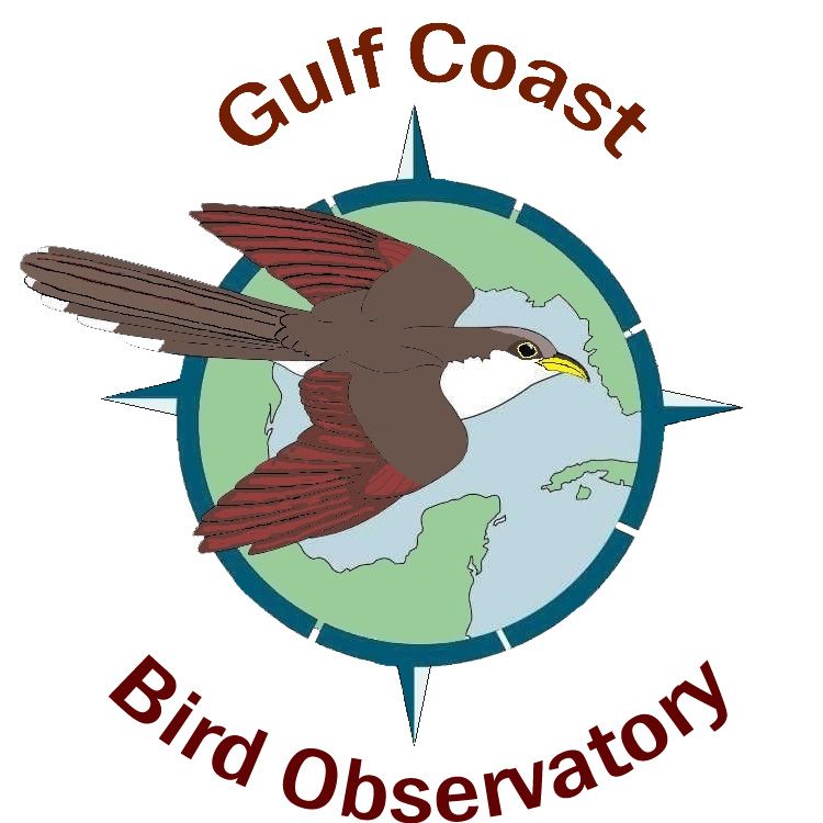 Gulf Coast Bird Observatory Gulf Coast Bird Observatory