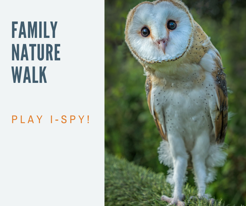 Family Nature Walk_ ispy.png