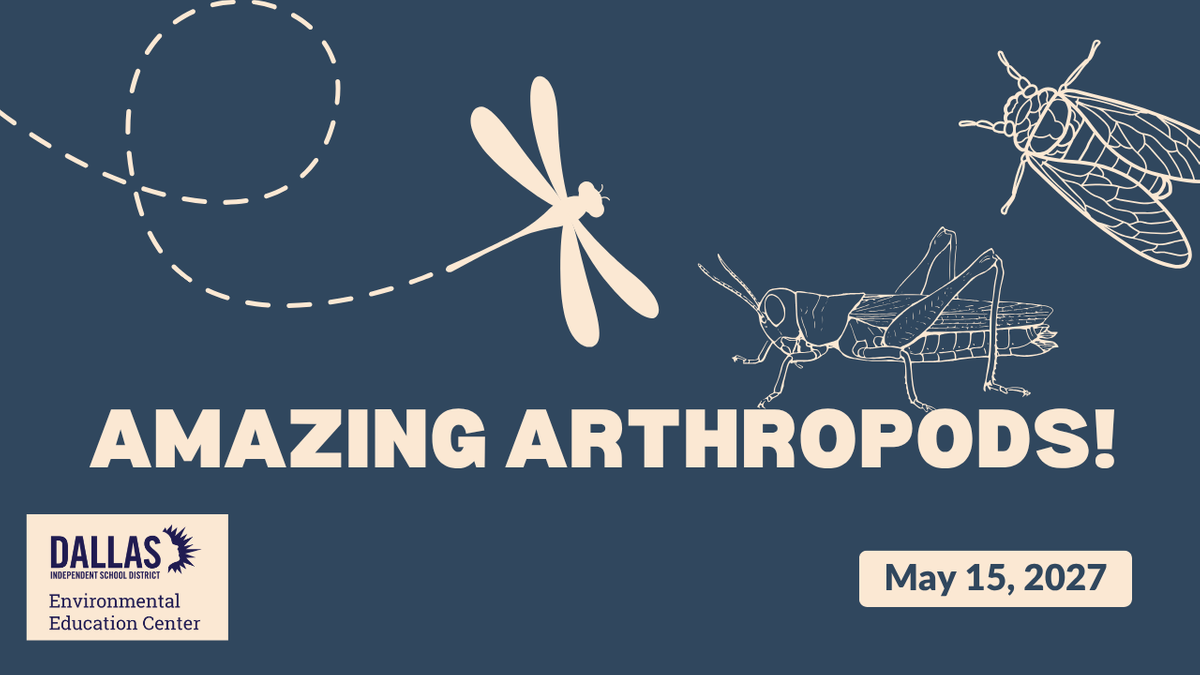 Amazing Arthropods!.png