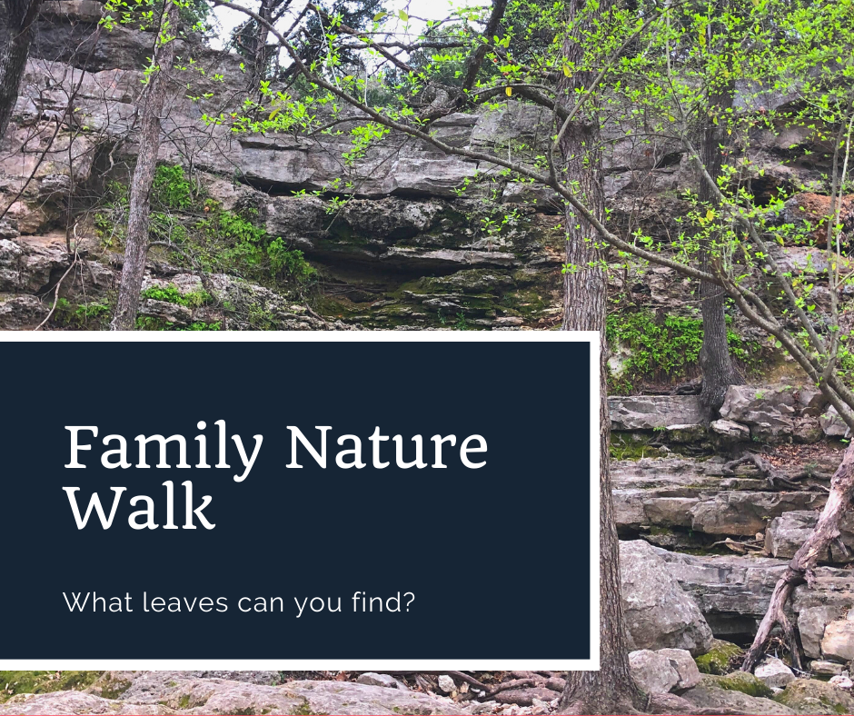Family Nature Walk_ Leaves.png