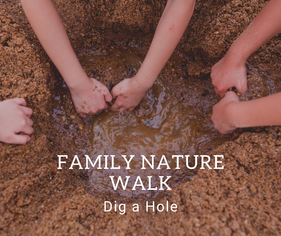 Family Nature Walk_ Dig A Hole.png
