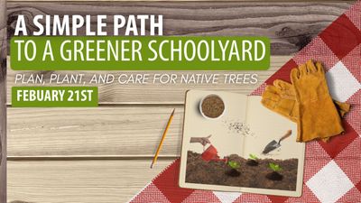 Native Tree Workshop (Youtube).jpg