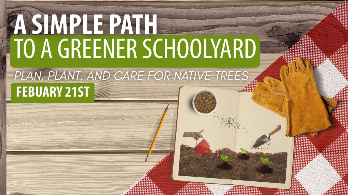 Native Tree Workshop (Youtube).jpg