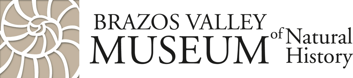 Brazos Valley Museum of Natural History Brazos Valley Museum of Natural History