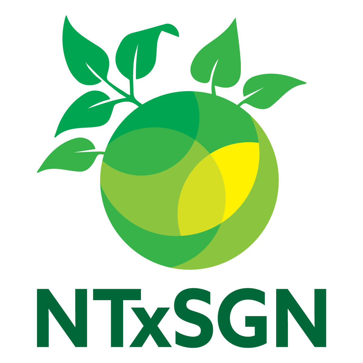 NTx School Garden Network NTx School Garden Network