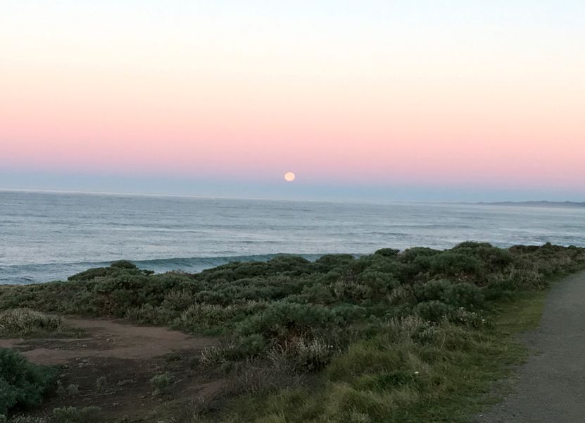Moon-Set Early AM January.jpg