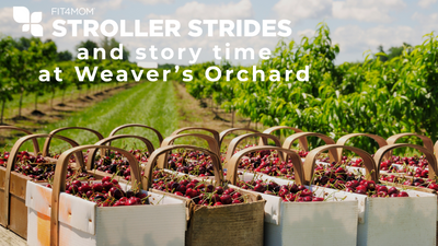 Weaver's Orchard.png