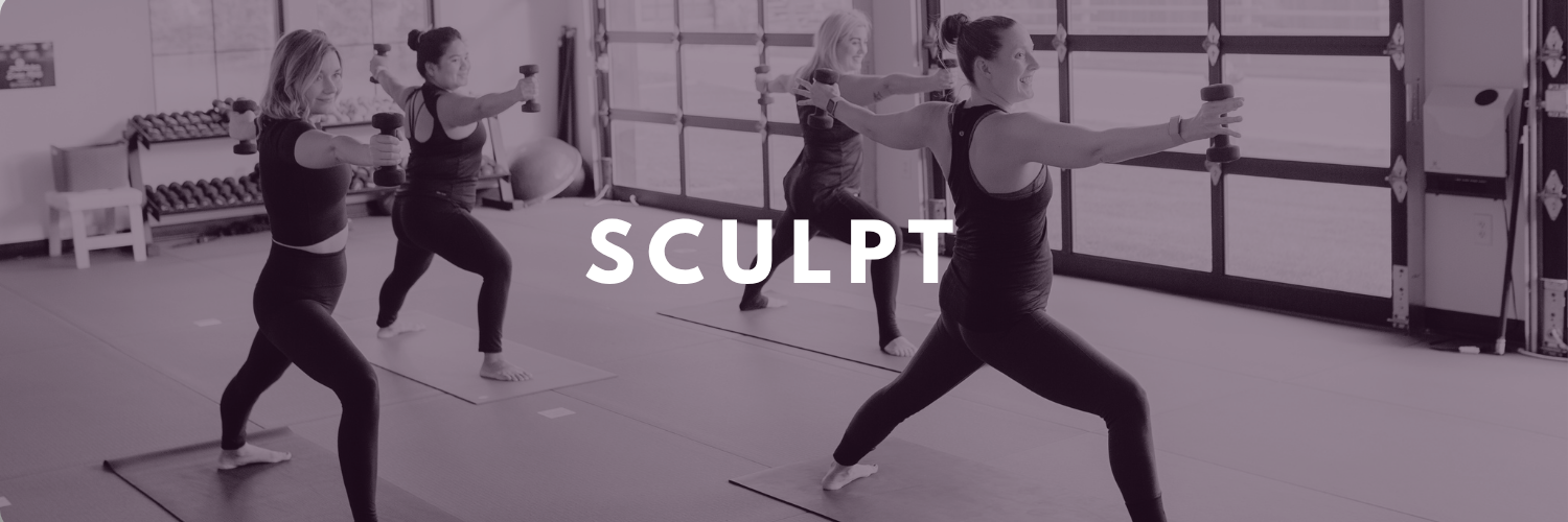 Sculpt header Web.png