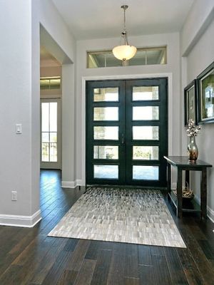 Vanilla - DD - 5 Lite Interior.jpg