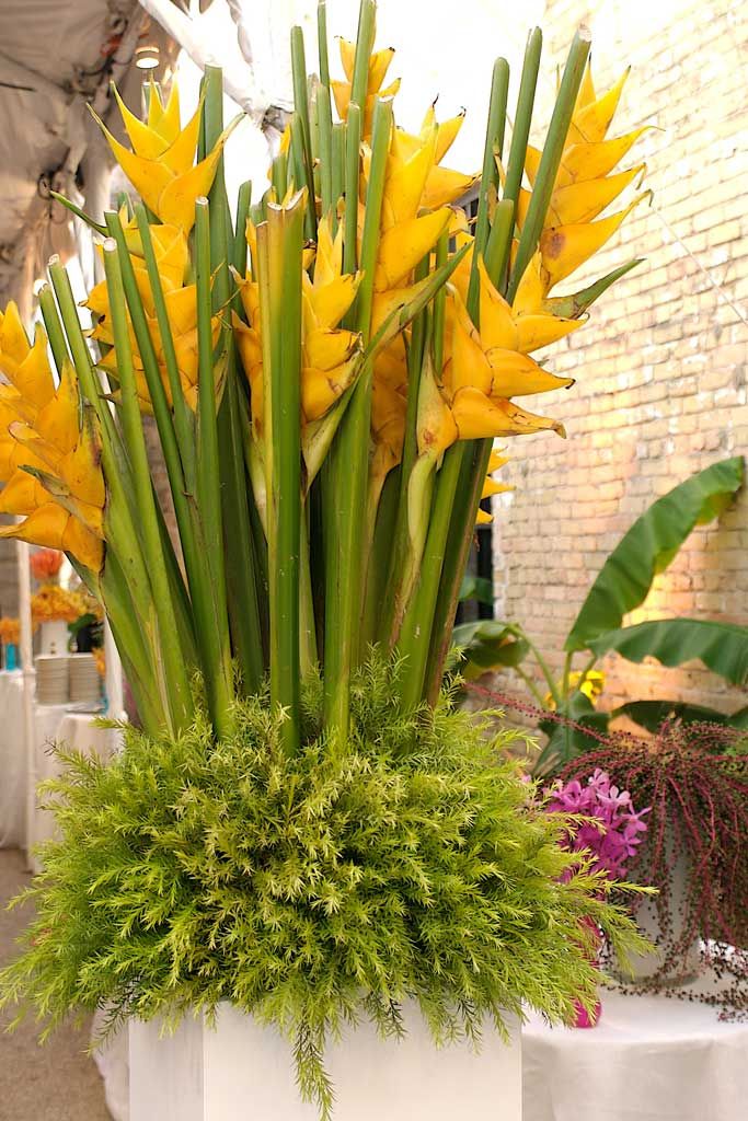 outdoor floral arrangements