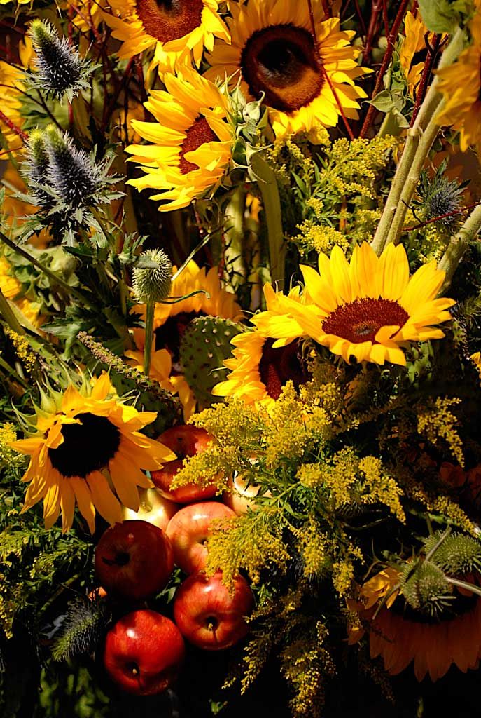sunflowers for table arrangement