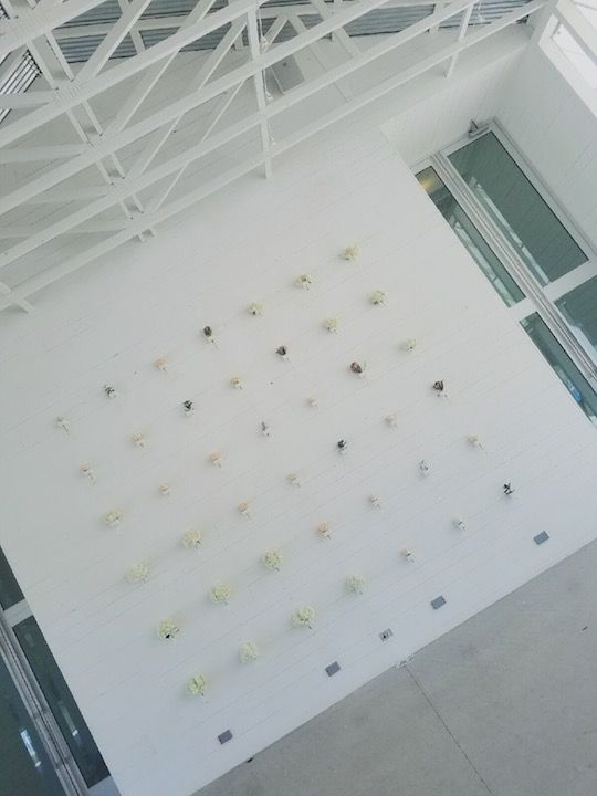 Austin Wedding Planners