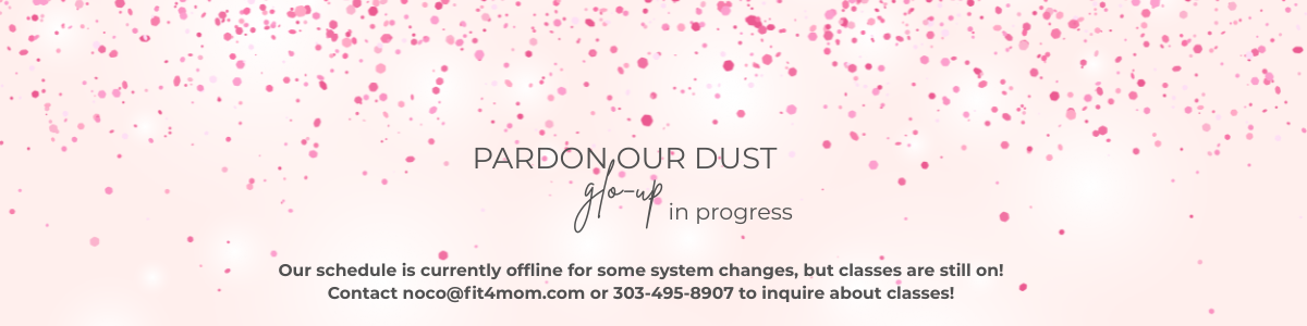 Copy of Pardon our dust.png