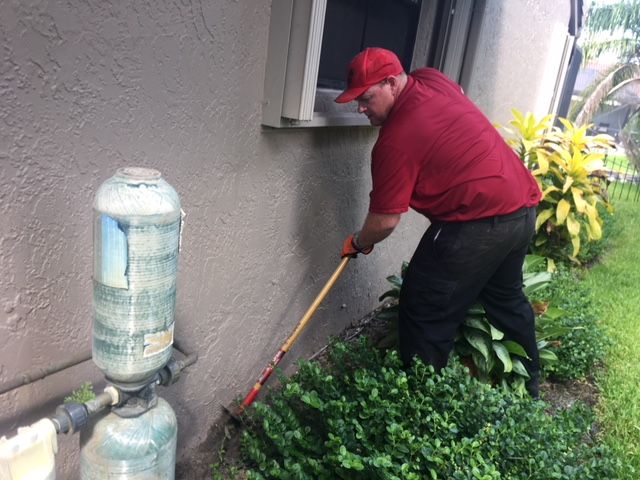 Pest Control West Palm Beach FL | Palm Beach County Pest ...