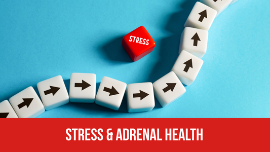 Adrenal Health.png