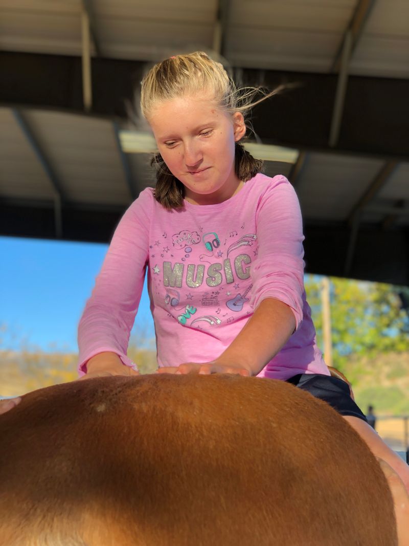 Tack Shack - CAROUSEL RANCH: Equestrian Therapy for Disabled Children