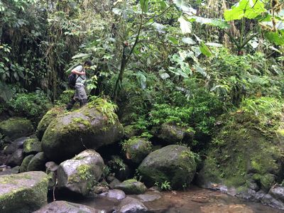 ecotourism guide crossing river rocks