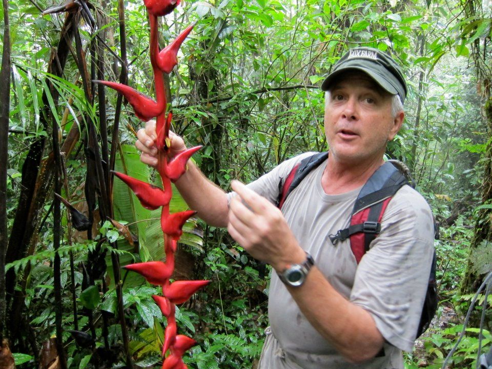 David Vaughan with lobster-claw heliconia