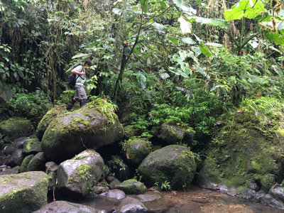 tour guide hiking la danta rainforest