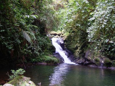 rainforest waterfall into pool at la danta