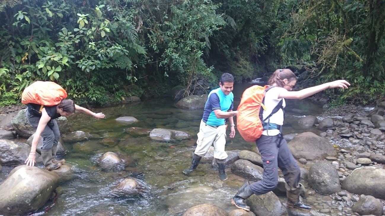 guide helps ecotourists cross rainforest stream