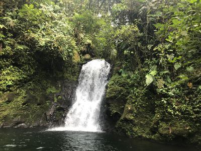 eco-tour guide at top of waterfall 