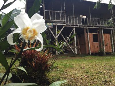 La Danta Salvaje Lodge & One Day Orchid