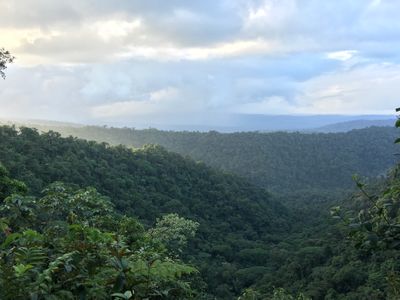 View from the lodge at La Danta Salvaje