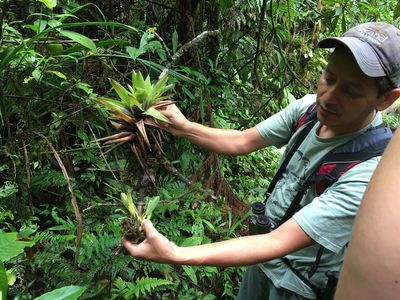 ecotourism expert in Costa Rican rainforest