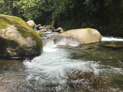 rainforest river rocks on ecotour