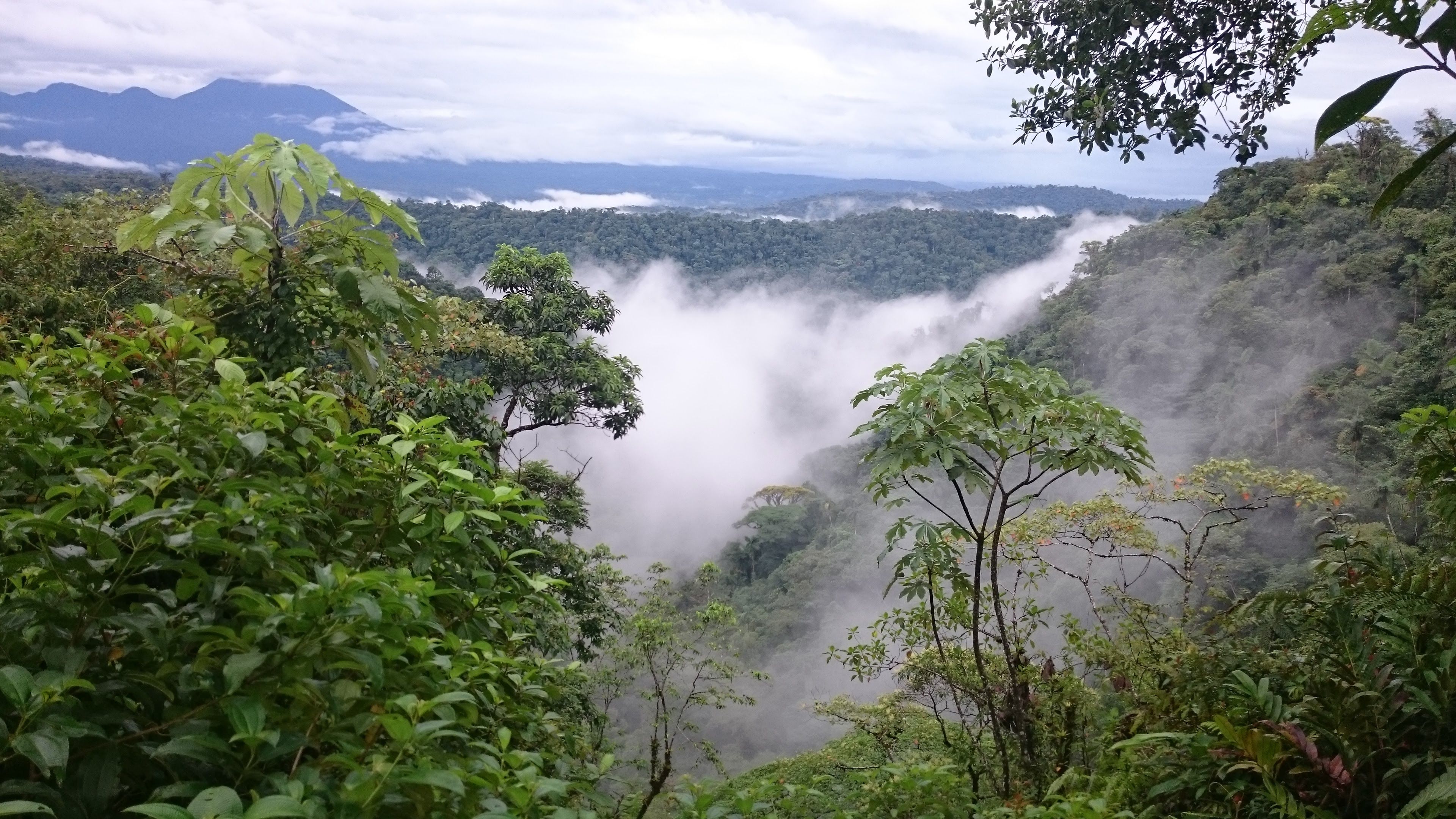 clouds sitting on Costa Rican rainforest mountains